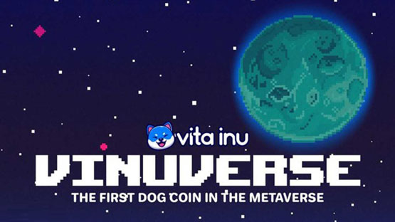 VINU币有什么用？VINU币发行量和流通量是多少？