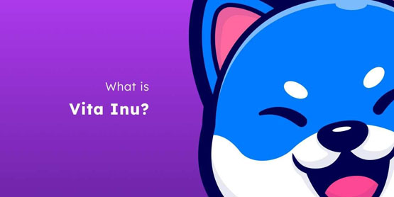 VINU是什么币种？VINU币价格最新行情